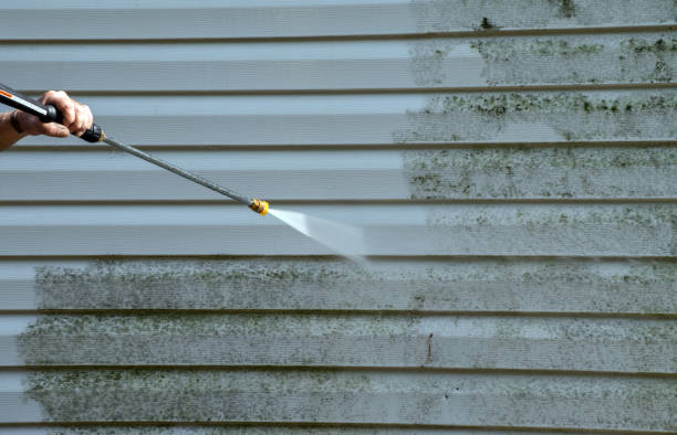Best Patio and Deck Pressure Washing  in North Valley Stream, NY